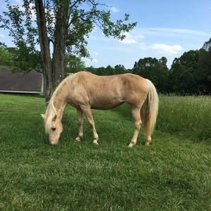 Meet your Posher, Sandy